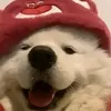 moonzzzyyy1