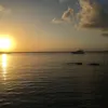 mavi_564