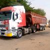 gorguidiop26