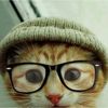 catlivesmatter.bumpbump
