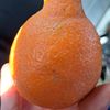 xtilin2