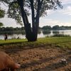 a1hungryhippo