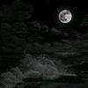 ...wangui_qui