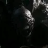 supertiran