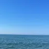 by_ly_