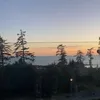 max_1__1_