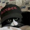 tyu_238
