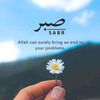 pretty_rima3