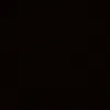 dark_flower09