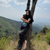 meserdisini