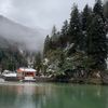 maryamalharbi226