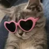 ijustreallyliikecatss