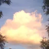 yq69dd