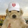 mister._pancho