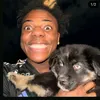 suckmdik