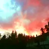 amira.karbin