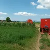 vasko_vic