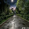 nour061207