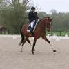 romainhernandez2
