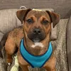 SparkyTheMix