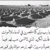 123456sabqorg