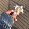 fatma.alkoud