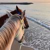 rouya_ender