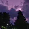 fug4_4