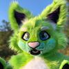 shimiithecat