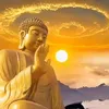 thanhquoc86gmail.com