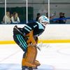 ethanshockey