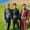 awmed_mamsal