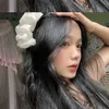 lind.anh