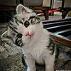 _soso_24_1