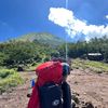 dhani bukan firman