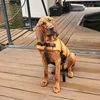 _bloodhound314_