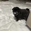 athsspam