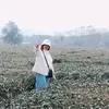 caothiphuongngoc0710