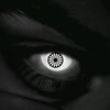 gipsy_gnida