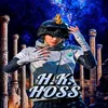 hk_hoss