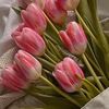 _itsskenn.images