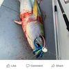 clambag2