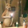 gian_gamercod