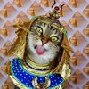 crazed_princess