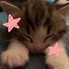 sleepymary.www