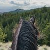 Rudnik the Roan