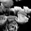 riimmaa.aa