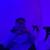 ziy4d_1