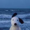 ryyiesl