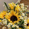 daisyandsunflowerr